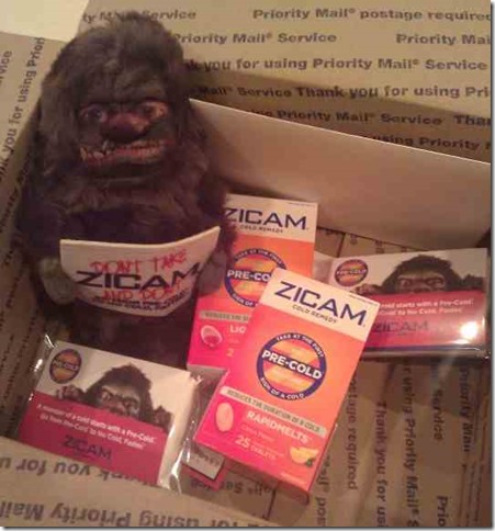 zicam
