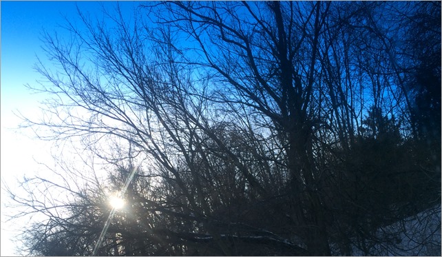 winter_sun